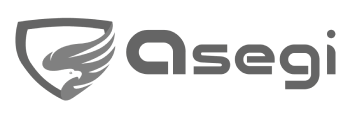 ASEGI Seguridad Corporativa